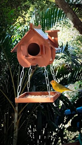Comedouro Tratador Pássaros Livres Casinha De Passarinho Mdf