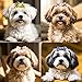 QingHan Dog Hair Bows Small Puppy Bowknot Clips for Pet Grooming Accessories Doggy Gifts 100Pcs (50 Pairs)