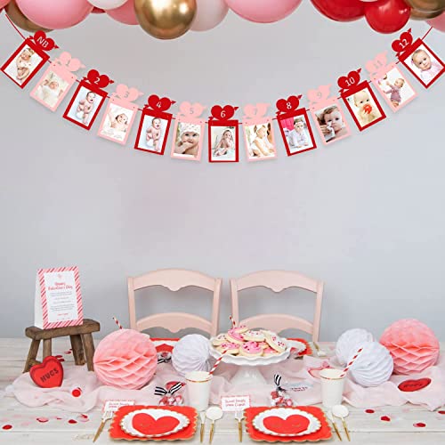 Image of FestikoValentine's Day 12 Months Photo Banner Heart Theme Garland Pink Red Valentine's Day 1st Birthday Party Newborn First Year Decor