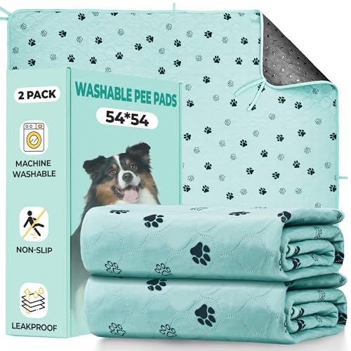 Image of Fostanfly Washable Pee Pads for Dogs, 2 Pack Large 54 inchx54 inch Ultra-Absorbent and Leak-Proof Non-Slip Reusable Potty Training Pads for Dogs, Cats, Puppy, Potty of Add 8 Lanyards, Green