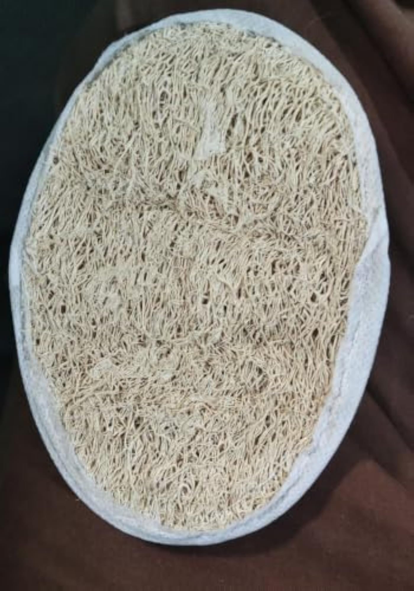 Bath Coir Sponge