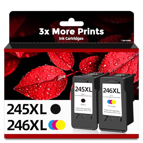 Skyink Compatible Ink Cartridge Replacement for Canon 245XL 246XL 245 246 XL (Black Color 2 Pack) PG245 CL246 MX490 MG2522 MX492 TR4520 TR4500 MG2520 TS3300 TS3322 MG2525 TR4522 TS3100 TS3122 TS3320