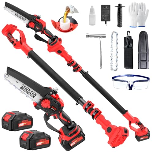 ANTTCTIG Upgraded 2-in-1 Cordless Pole Saw & 8 Inch Mini Chainsaw, Battery Powered Tree Trimmer with 6.6ft(2m) Extension Pole, 21V 4.0Ah x2 Batteries, Electric Chainsaw for Branch, Limb & Wood Cutting