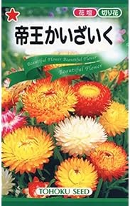 Amazon.co.jp: 花 - 種: DIY・工具・ガーデン
