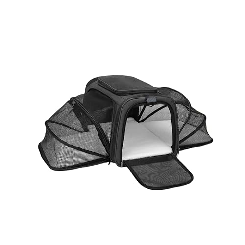 Lunyong L L[ obO lʊg\ 2WAY bN ybgnEX L[ E^LpE^Ep V[gxgŒ\ ܂肽 ʋC LCȂ ~ɋ p/o/hCu/s/ʉ@/h 8kgω