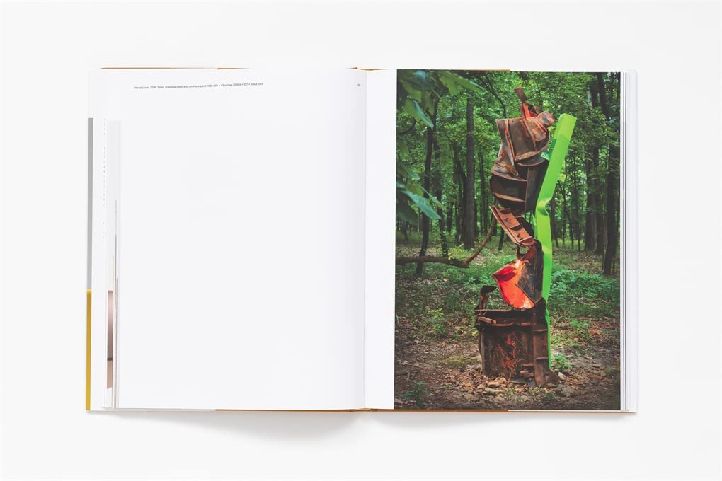 Carol Bove: Collage Sculptures