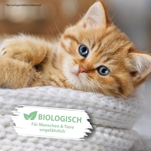 Katzenurin Spray 100 ml – gegen Katzenpipi, Uringeruch & Flecken unterwegs – Enzymreiniger biologisch & sicher – ideal für Sofa, Auto, Katzenklo, Reisen & Textilien – hygienisch & effektiv – PIPI-Weg