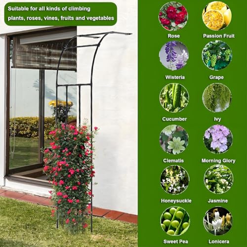 Arco de jardín de metal duradero con estructura robusta para pérgola exterior 7