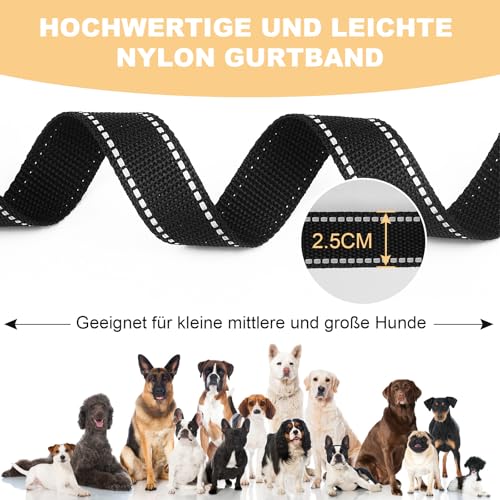 Reflektierende Hundeleine mit weichem, Lead for Dog gepolstertem Griff für das Training, Führleine für große und mittelgroße Hunde, 5m/10m/20m/15m/30 m 1 Zoll breit, SCHWARZ (5mX 2.5cm)