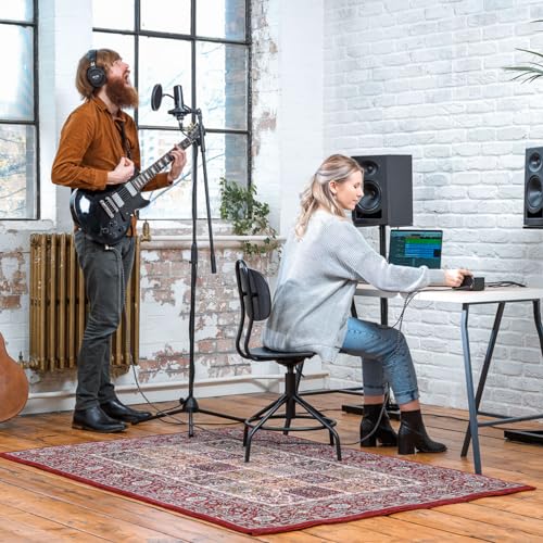 Image of Audient EVO Start Recording Bundle with EVO 4 Audio Interface, Condenser Microphone, Headphones, Shock Mount & XLR Cable