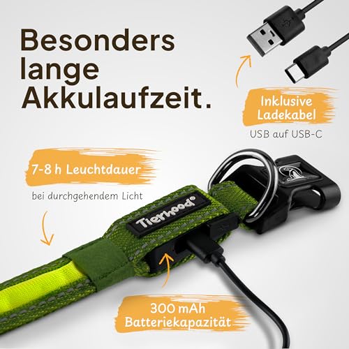 Tierhood Leuchthalsband Hund - Leuchthalsband für kleine und große Hunde - LED Hundehalsband Aufladbar - Langlebig, Wetterfest & Komfortabel - Ideal für Nachtspaziergänge - Grün, Größe S