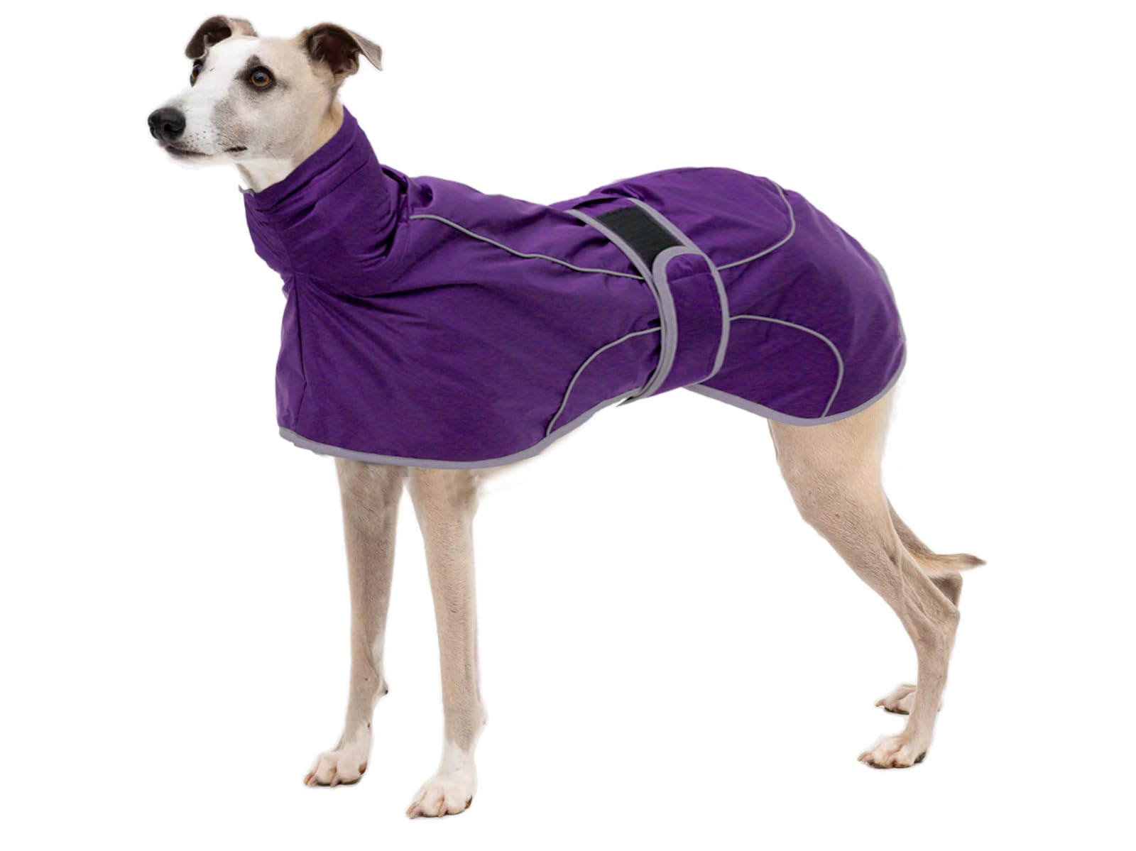 CTomche Dog Winter Coat Reflective Waterproof, Dog Jacket with Warm Fleece Lining