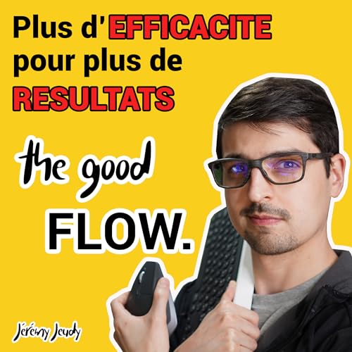 The Good Flow - L'efficacit&eacute; m&egrave;ne &agrave; la r&eacute;ussite ! copertina