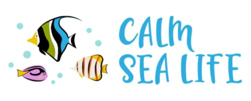 Calm Sea Life - Vídeos de Aquário e Relaxamento Subaquático