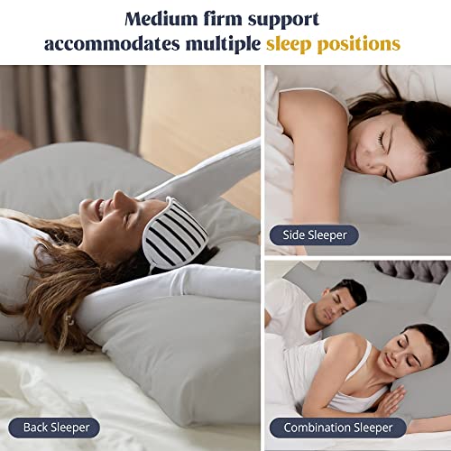 puredown Goose Feathers Down Pillows - Queen Size Bed Sleeping Hotel Collection Pillows Set of 2 with 100% Cotton Cover, Grey