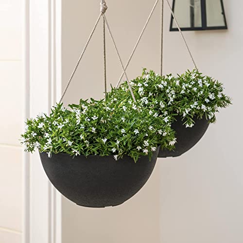 La Jolie Muse Hanging Planters For Outdoor Plants, Large Hanging Planter With Drain Holes, Black Hanging Flower Pots (13.2 Inch, Set Of 2) #TOP3