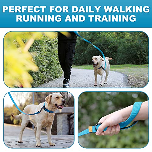 Lynxking 6Ft Dog Leash For Large Medium Small Dogs,Strong Durable Heavy Duty Nylon Leashes For Walking And Training, Heavy Duty 6 Foot Dog Leash With D Ring For Puppy (Blue, Small 5/8" X 6') #TOP5