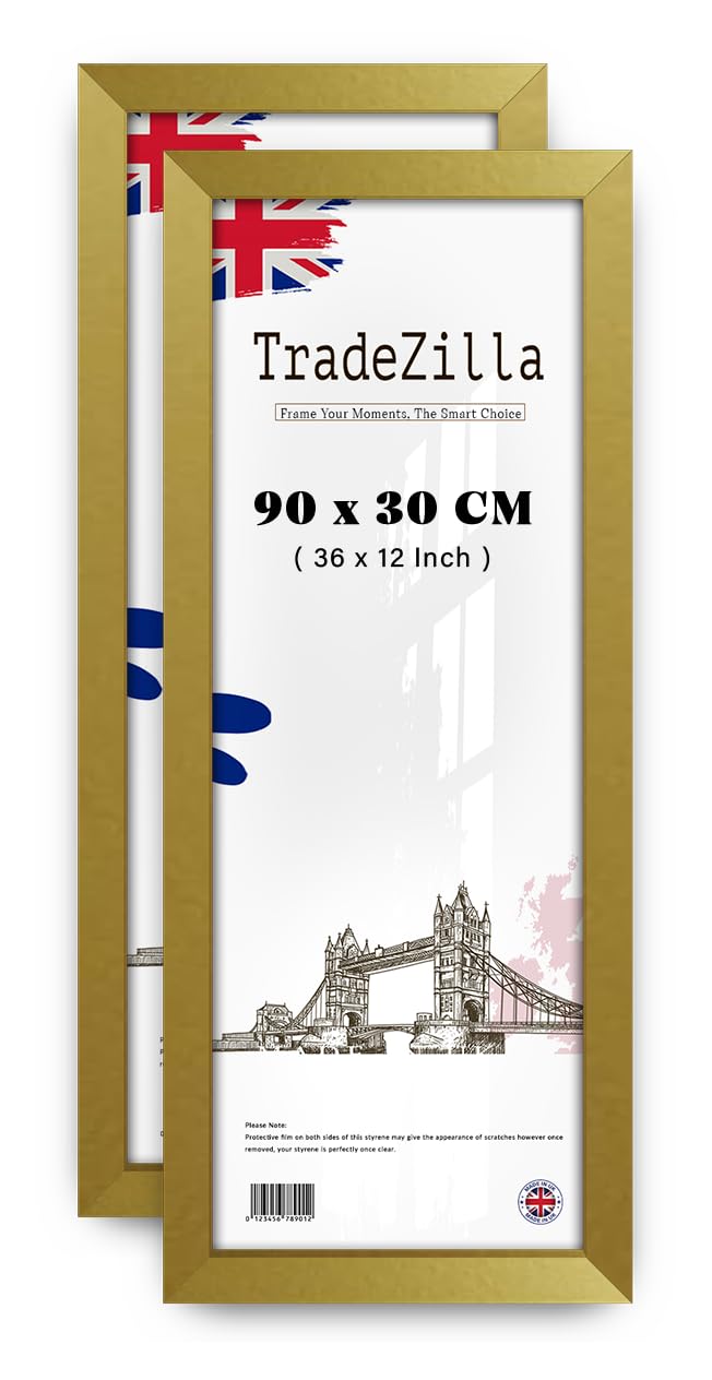TradeZilla pack of 2 Luxury Large Flat Style Style (90 x 30 CM) Engineered Wood Gold Frames -Ideal for Modern Home Décor 36 x 12 Inch [ Gold ]