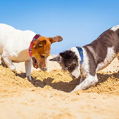 Hywean 3 Pezzi Comodo Collare Cane Regolabile