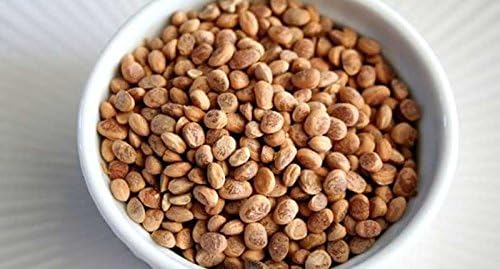 Almondette Kernels (Charoli or Chironji) 100g ( 3.5 oz )