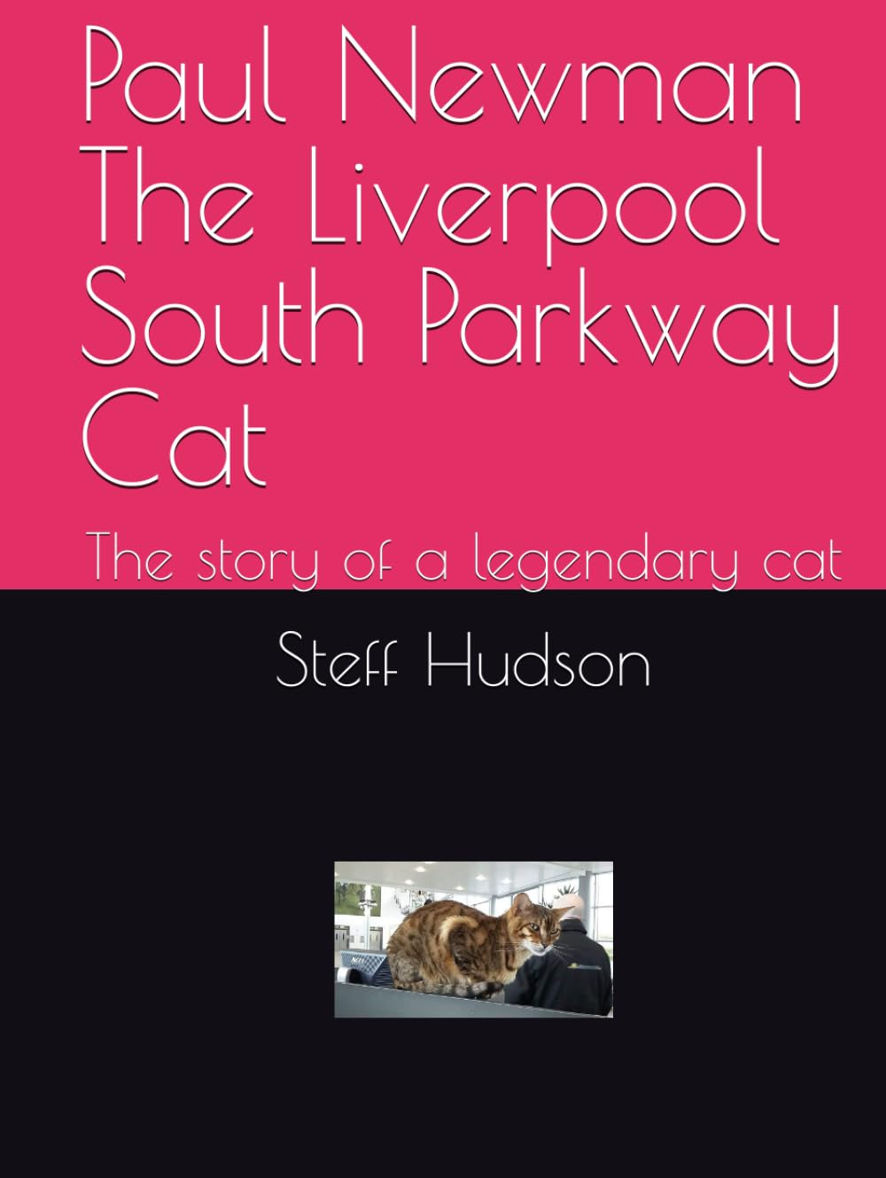 Paul Newman The Liverpool South Parkway Cat: The story of a legendary cat