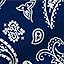Blue Paisley