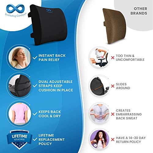 The 10 Best Everlasting Comfort Seat Cushions of 2024 [Verified] Cherry Picks