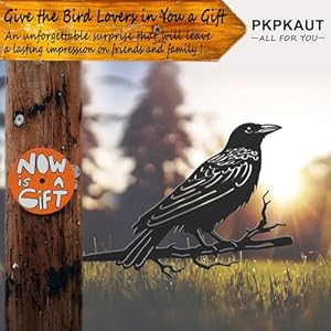 Metalbirdsyarddecorforoutdoormetalyardartoutdoorandgardendecorationsmetalodinsravenstatueoutdoordecorgiftsforwomen Urban Country Home Decor Metal birds yard decor for outdoor metal yard art outdoor and garden decorations metal odins raven statue outdoor decor gifts for women urban country home decor