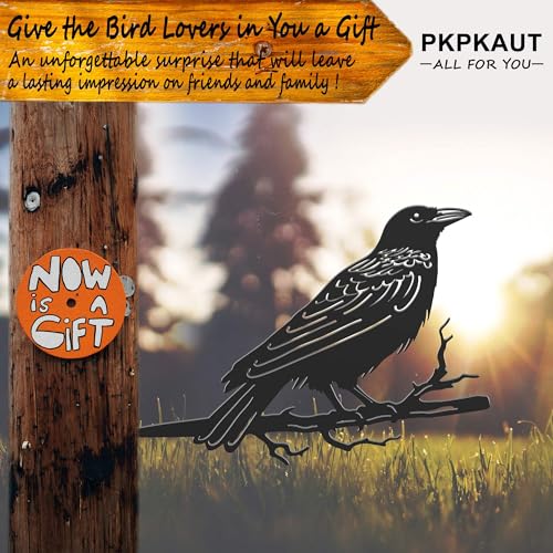 Metalbirdsyarddecorforoutdoormetalyardartoutdoorandgardendecorationsmetalodinsravenstatueoutdoordecorgiftsforwomen Urban Country Home Decor Metal birds yard decor for outdoor metal yard art outdoor and garden decorations metal odins raven statue outdoor decor gifts for women urban country home decor