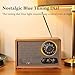 LoopTone AM FM Radio for Home,Bluetooth in/Out Retro Wood Radios with AUX in,Headphone Jack, Vintage Table Radio with Treble Bass Control for Kitchen Living Room with Rotary Knob