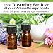 Essential Oil Bottles, Mini Amber Glass Bottles 5ml (Pack of 10)