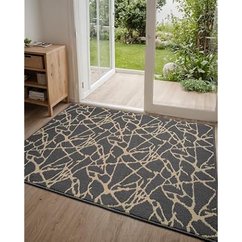 DEXI Non-Slip Absorbent Entry Mat Cover