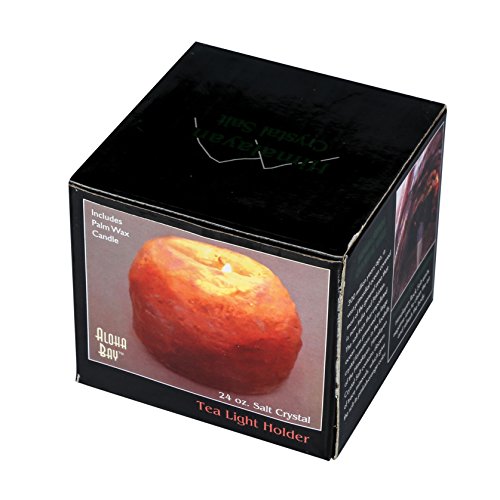 yummi Set of 18 Floating Candles and Monet Stem Holders - Mint