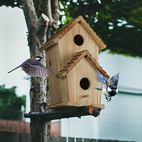 Bird Houses For Outside Bluebird Finch 2 Room Bird Houses For Outside - Up To 2 Bird Families - Large Hole For Their Needs - Perfect For Your Garden #TOP1