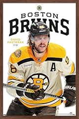 Mahogany Framed Version