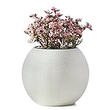 Self Watering Planter Modern Decorative Planter Pot (White)