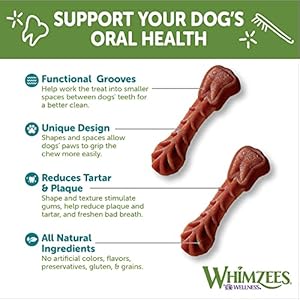 WHIMZEES-by-Wellness-Brushing-Dental-Chews-For-Dogs-Grain-Free-Long-Lasting-Treats-Freshens-Breath-Extra-Small-Breed-48-Count - Cucciolini Doodles   WHIMZEES-by-Wellness-Brushing-Dental-Chews-For-Dogs-Grain-Free-Long-Lasting-Treats-Freshens-Breath-Extra-Small-Breed-48-Count
