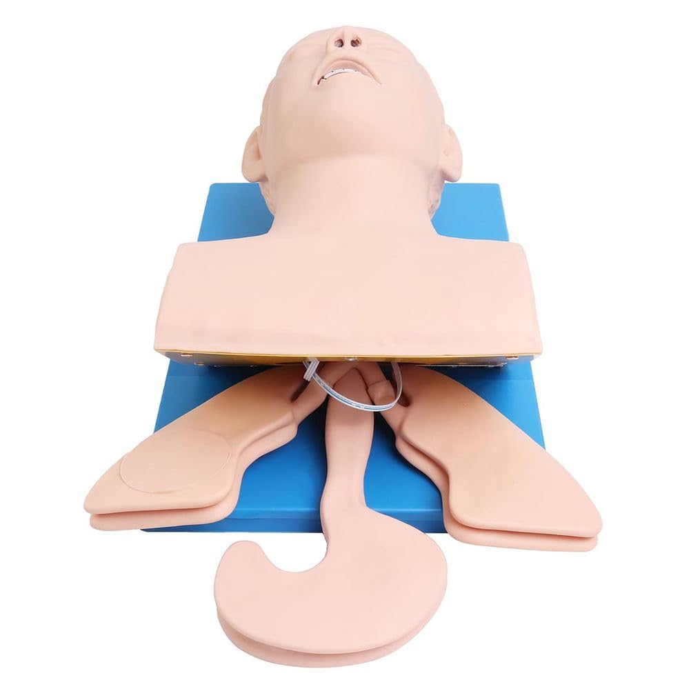 Modello di allenamento per intubazione tracheale, simulatore elettronico anatomico per adulti con allarme di pressione per la gestione delle vie aeree orofaringee