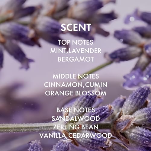 ALFHEIM Lavender+ Purple Shampoo & Conditioner Set for Blonde, Silver & Color-Treated Hair – Deeply Hydrates & Restores Cool Radiance – with Quinoa Extract & Vitamin E – Sulfate Free – 18 oz × 2 — view 6