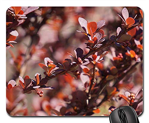 Mouse Pad - Barberry Berberis Vulgaris Vinegar Berry Plant Bush