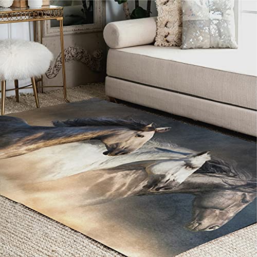 Best Horse Rugs For Living Room