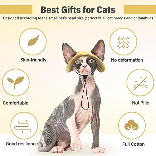 #1 Best Dentrun Cat Bucket - Premium Pet Apparel Set - Image 7