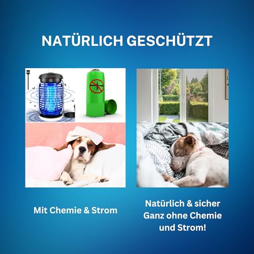 FALLENHELD Fliegengitter für Fenster 130x150 cm 2er Set in Weiß I Insektenschutz mit selbstklebendem Klettband I einfache Montage ohne Bohren