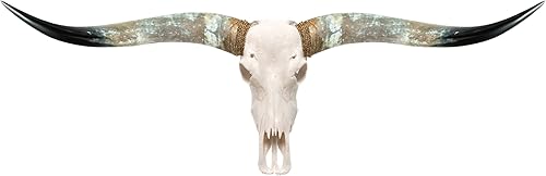 Skull Bliss - Calavera de cuerno largo - Decoración de pared de cuerno largoDecoración de pared de calavera de toroDecoración de pared de calavera