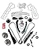 3-Valve Timing Chain Kit Cam Phaser & VVT Valves Water Pump Timing Cover Gaskets With Tensioner (Left & Right Upper) For 2004-2011 Ford Expedition F-150 F-250 F-350 2005-2010 Lincoln Navigator Mark 5.
