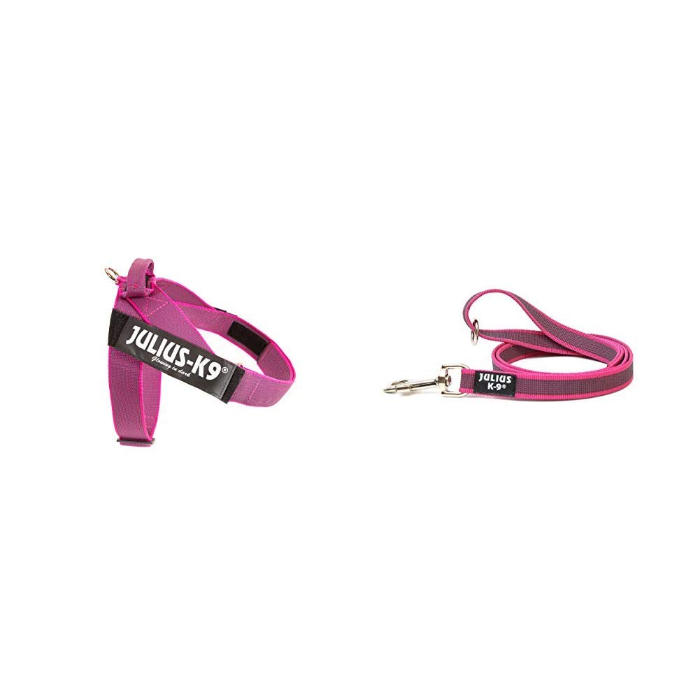 Arnés para cinturón de seguridad JULIUS-K9 y Correa para Perro, con Mango y Junta Tórica - color rosa - talla: 2