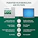 Filterbuy 20x30x1 Air Filter MERV 13 Optimal Defense (2-Pack), Pleated HVAC AC Furnace Air Filters Replacement (Actual Size: 19.63 x 29.63 x 0.75 Inches)