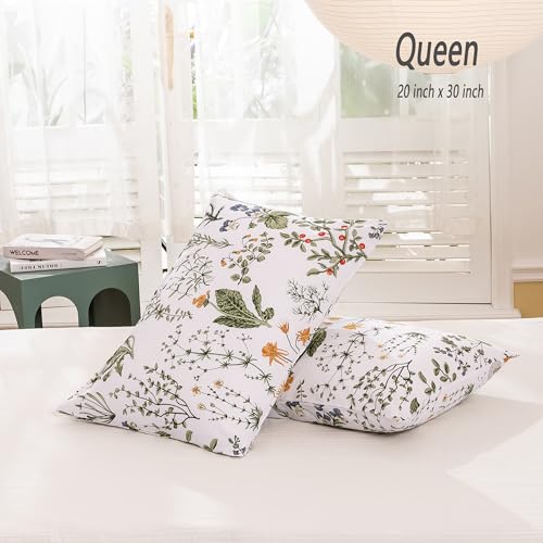 Image of ECOCOTT 2 Pack Pillowcase Queen Size with Green Botanical Floral Leaves Pillow Cases Set, 100% Cotton Queen Pillow Covers Envelope Closure (Queen, 20 inchx30 inch)