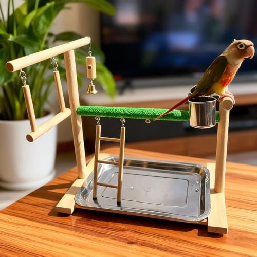 Image of Bird Playground,Equipped with Detachable Tray and Feeding Cup,Parakeet Playground,Great Friction for The Health of Birds,Bird Perch Stand