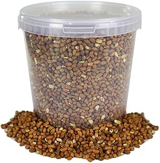 BusyBeaks Whole Peanuts | Premium Quality Fresh Feed | Garden Wild Bird Nut Food | Natural Aflatoxin Free Mix | Protein Rich, High in Energy Mixture | Nutritious Vitamins and Essential Oils (1L Tub)